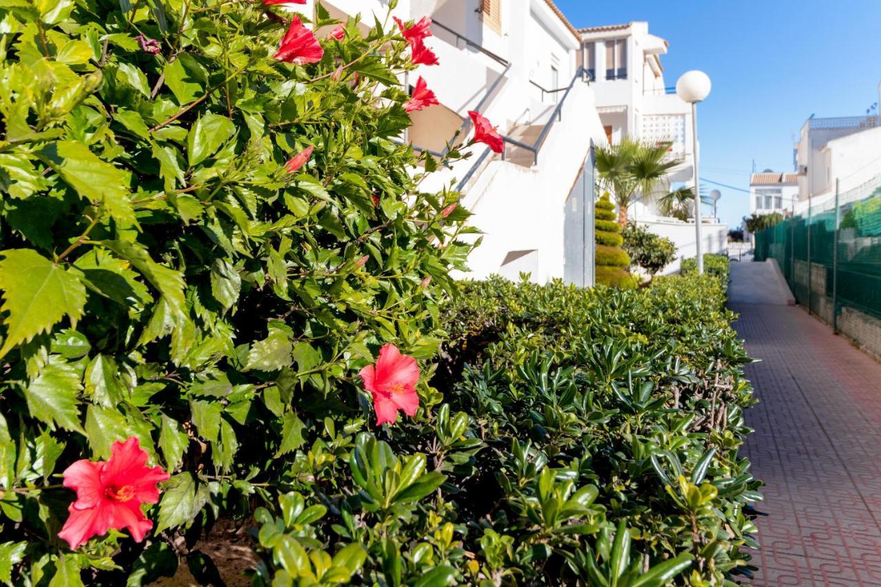 Ferienwohnung Mi Perla Torrevieja Exterior foto